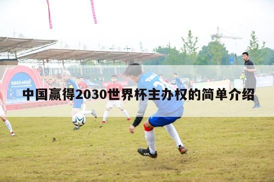 中国赢得2030世界杯主办权的简单介绍